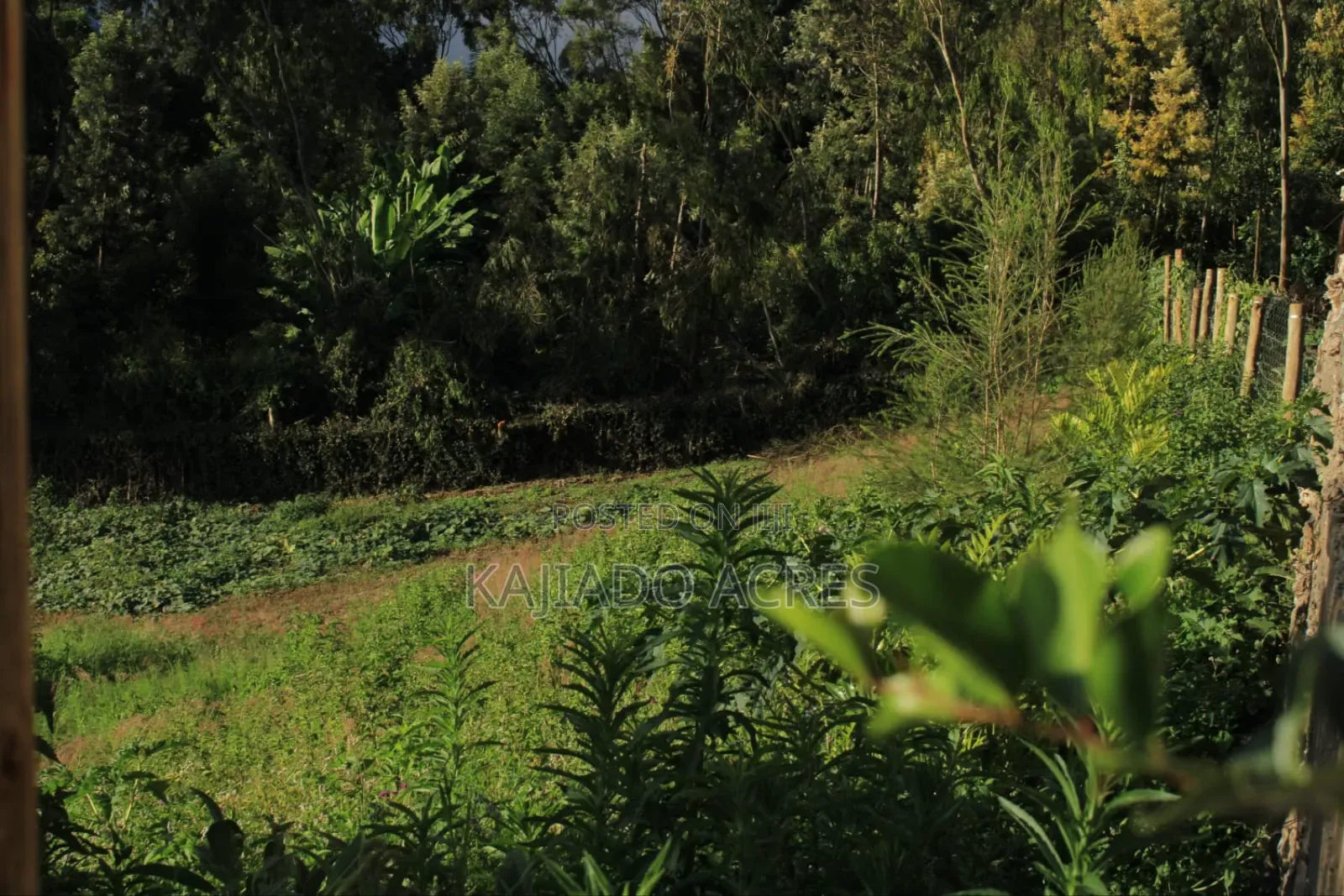 1/8 Acre Lemiso Road at 3.5m
