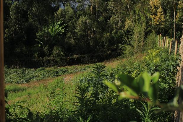 1/8 Acre Lemiso Road at 3.5m - thumbnail 9