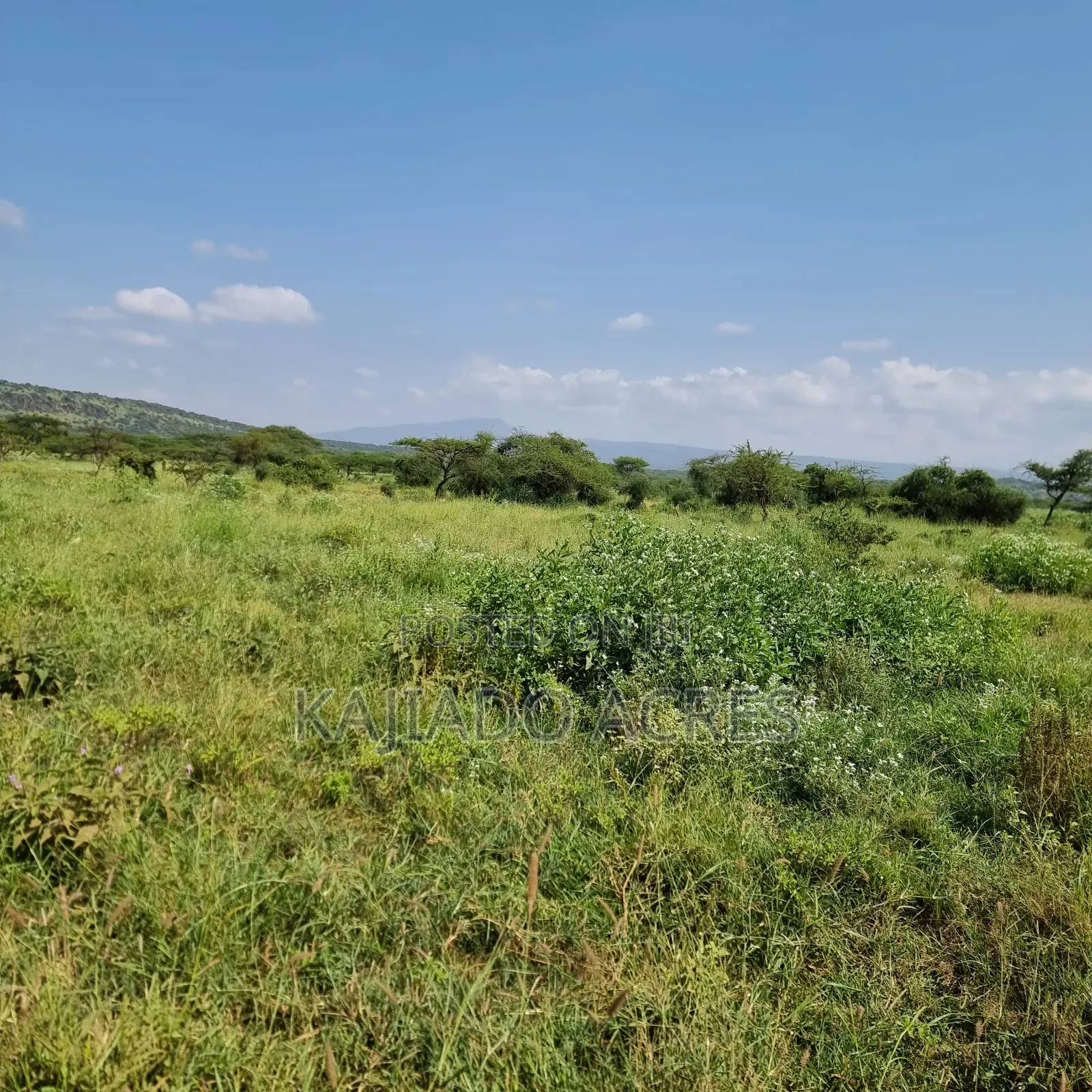 10 Acres Mparashi,Off Magadi Road,At Per Acre