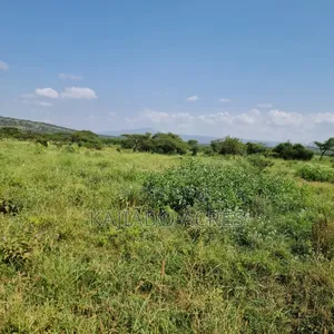 10 Acres Mparashi,Off Magadi Road,At Per Acre