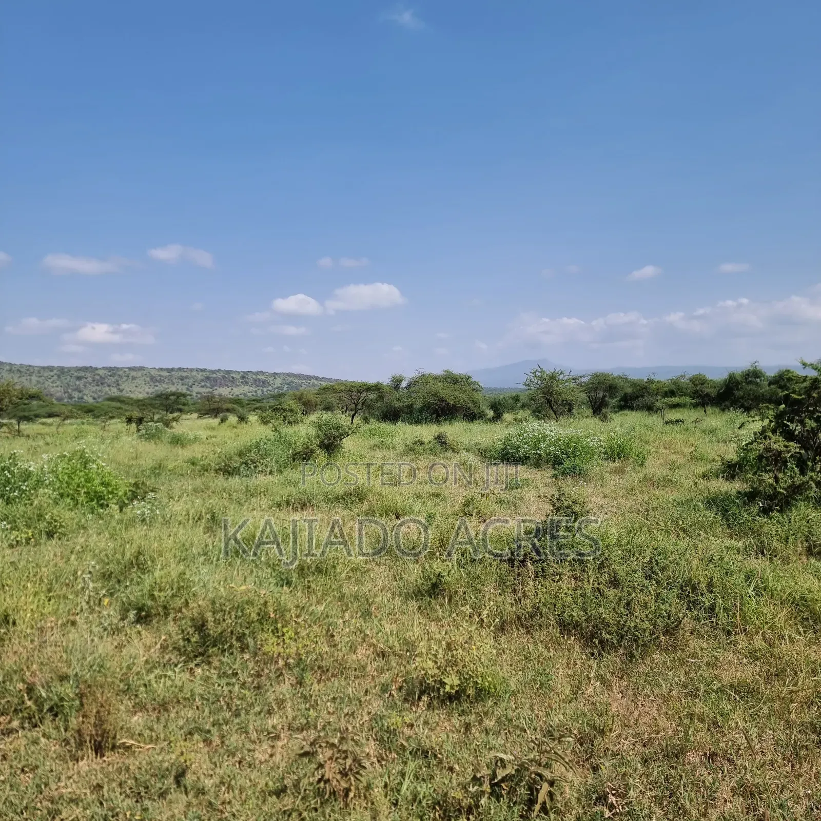 10 Acres Mparashi,Off Magadi Road,At Per Acre