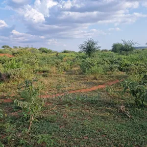 10 Acres Mparashi,Off Magadi Road,At Per Acre