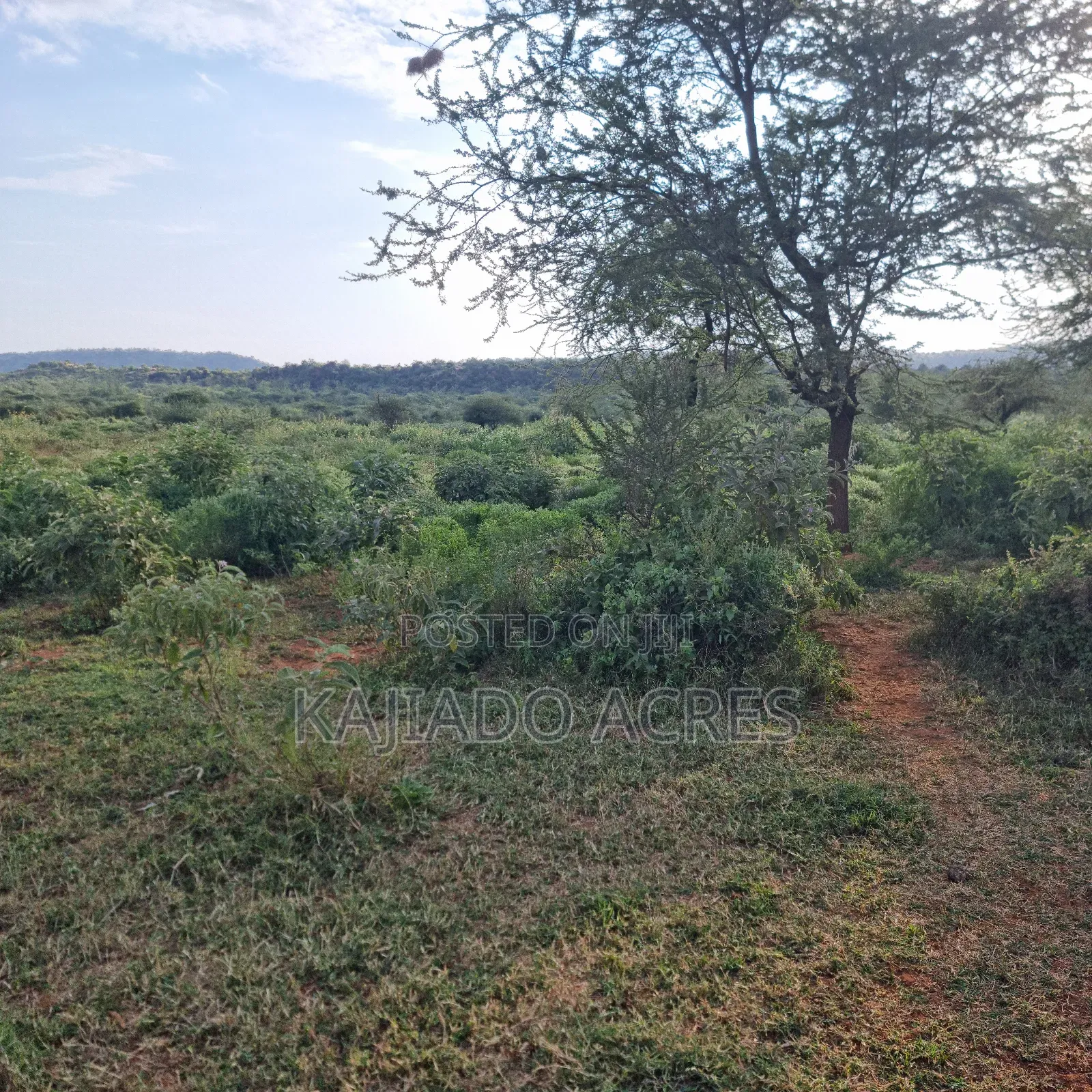 10 Acres Mparashi,Off Magadi Road,At Per Acre