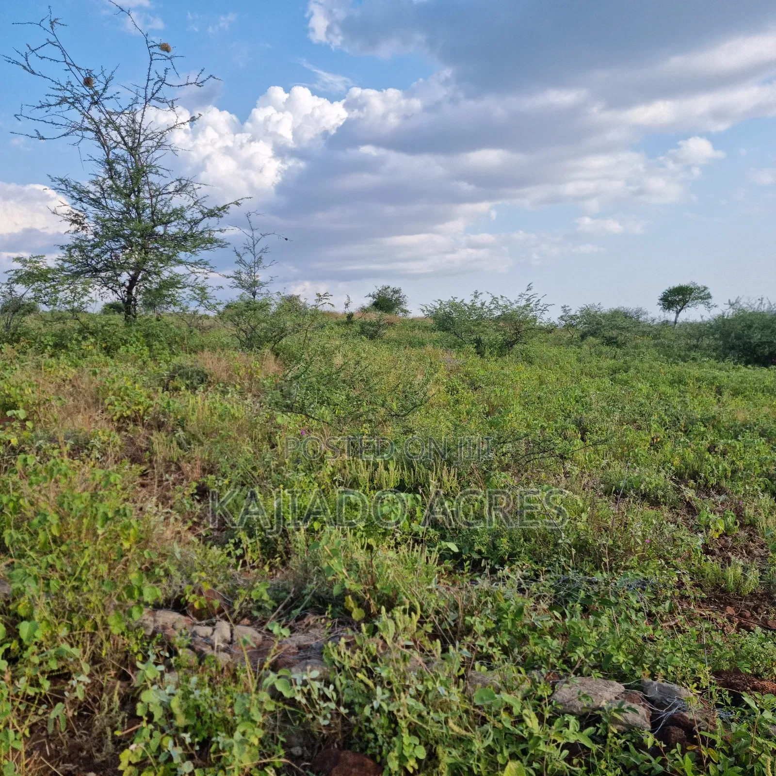 10 Acres Mparashi,Off Magadi Road,At Per Acre