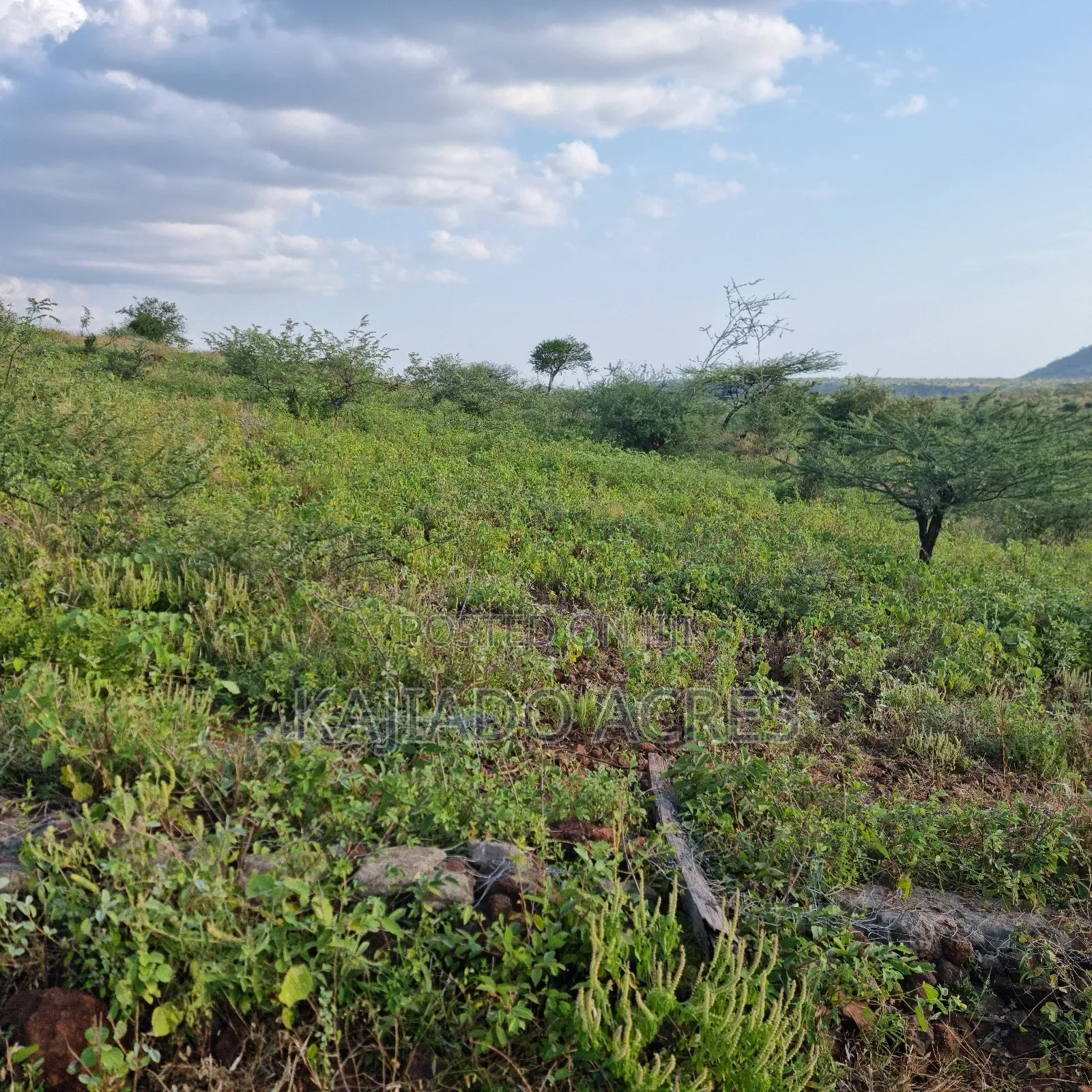 10 Acres Mparashi,Off Magadi Road,At Per Acre