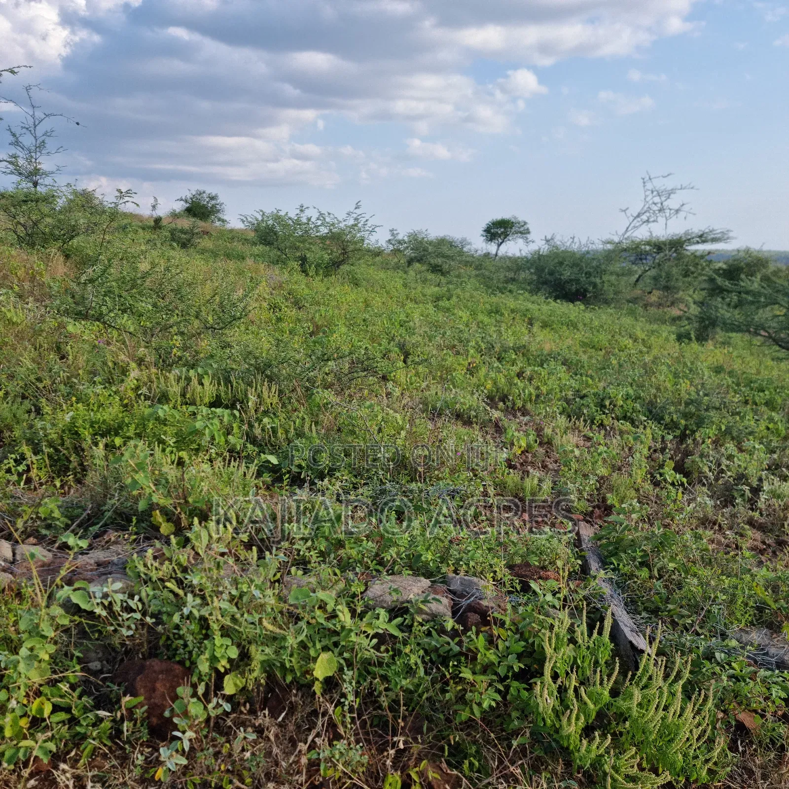 10 Acres Mparashi,Off Magadi Road,At Per Acre
