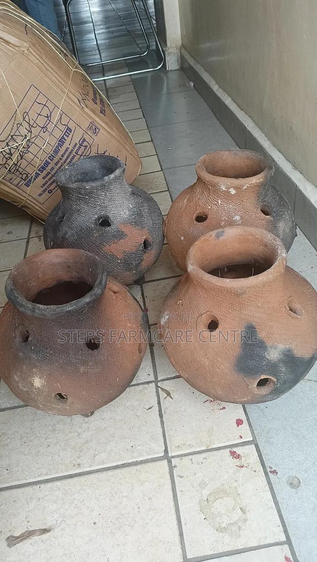 Clay Economical Brooding Pots - main view