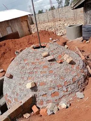 Bio-Digester/Biogas Consultant