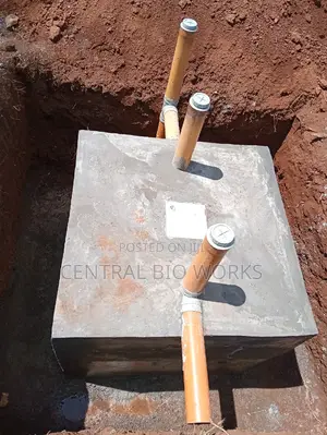 Bio-Digester/Biogas Consultant