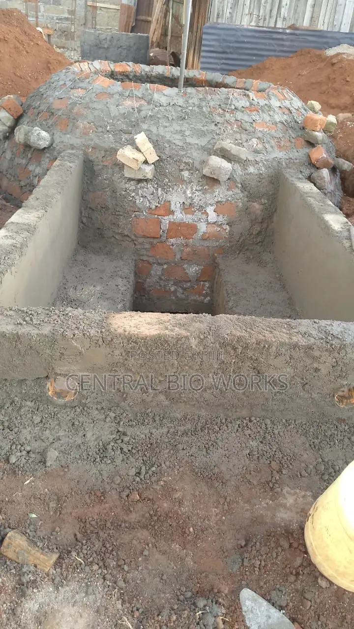 Bio-Digester/Biogas Consultant