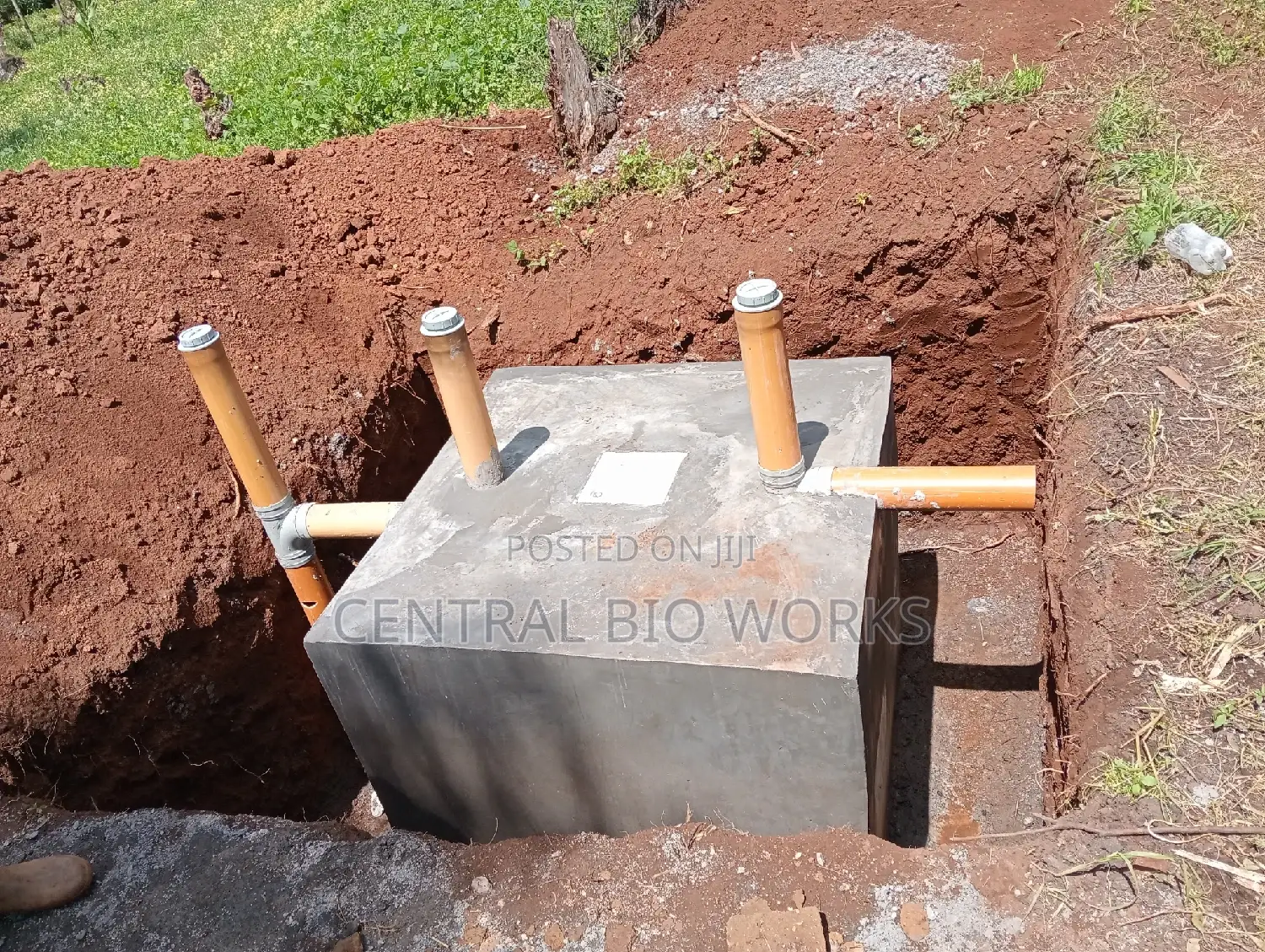 Bio-Digester/Biogas Consultant