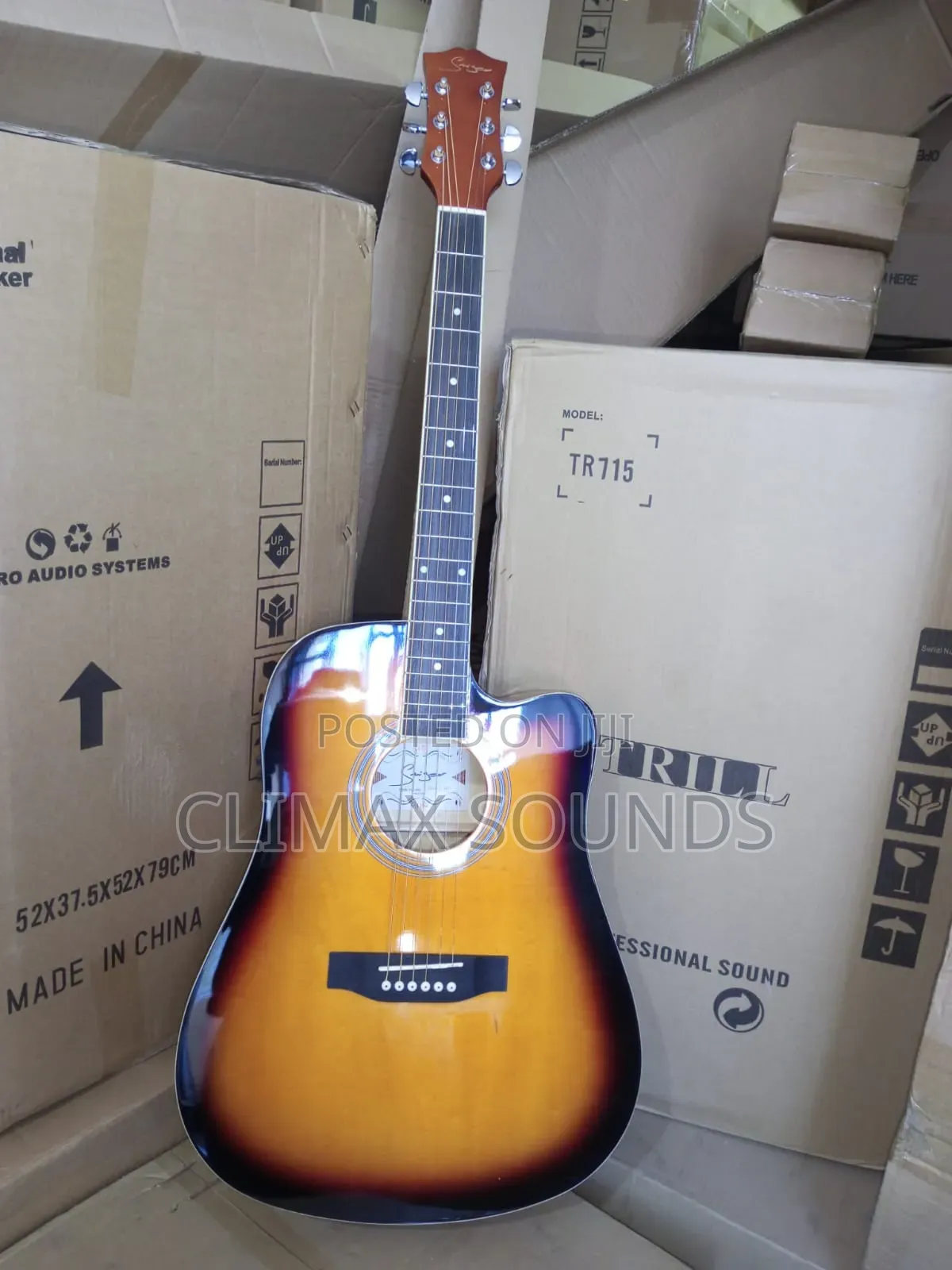 Acoustic 41 Saiger