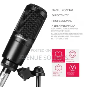 Audio Technica AT2020 Condenser Professional Microphone