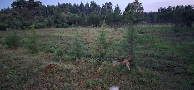 Commercial Acres Touching Highway Kapseret Bypass in Eldoret - thumbnail 4