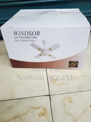 Amazing Windsor 24 Inches Ceiling Fan