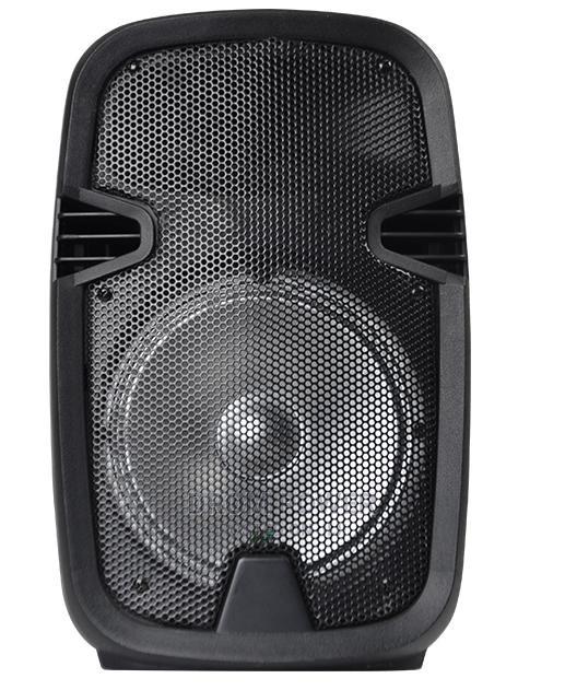 Powered Speaker Model K8 - main view