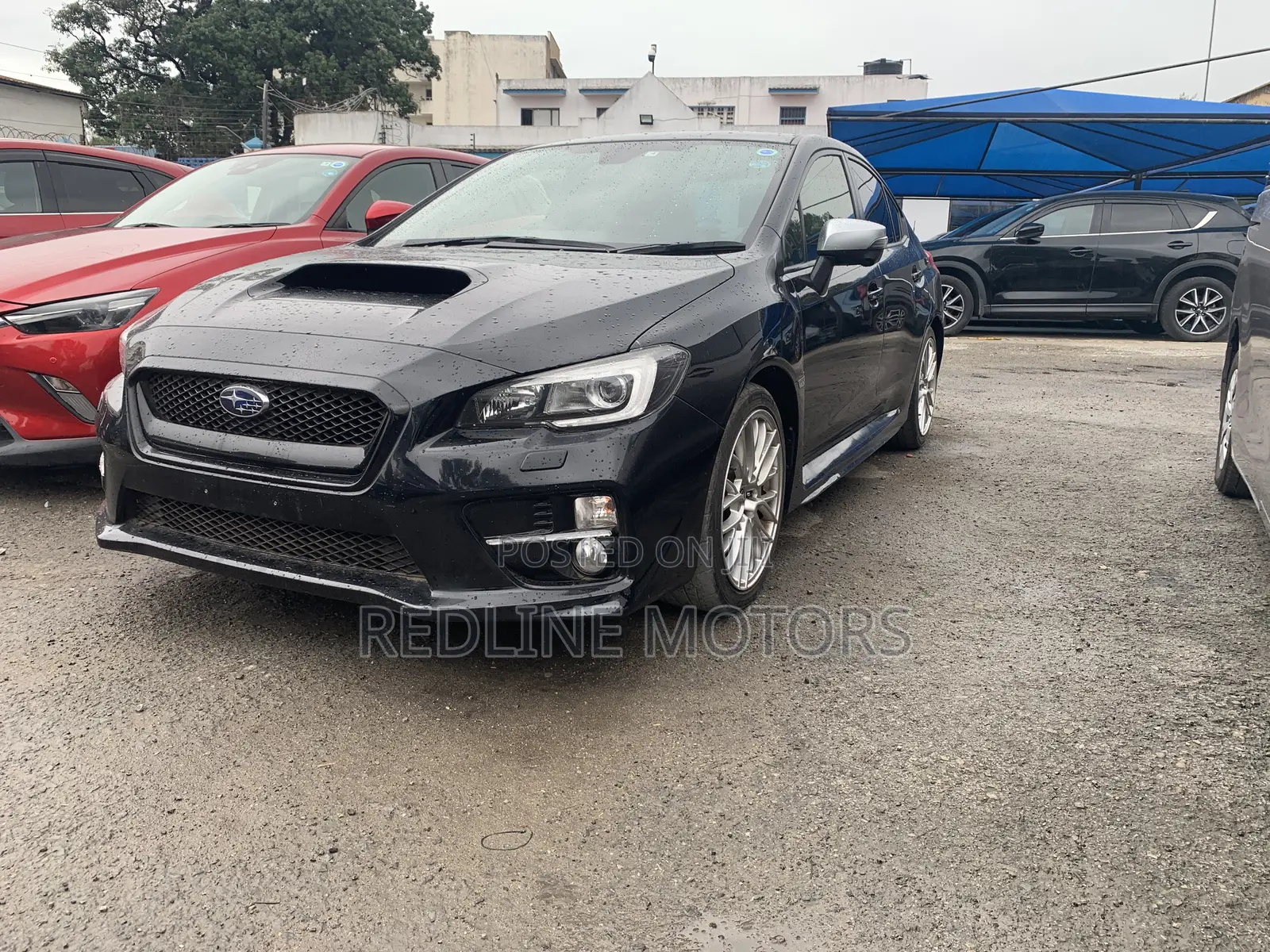 Subaru WRX Limited 2017 Matt Black