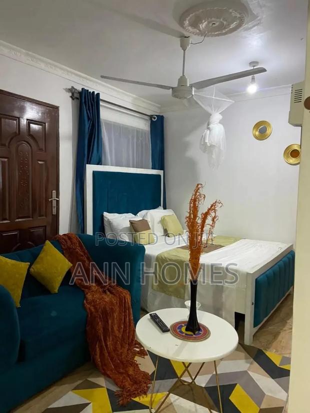 Bedsitter Studio South B Airbnb - main view