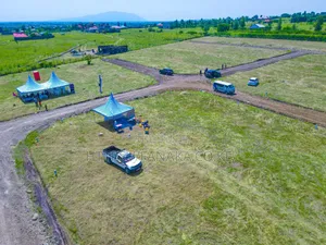 Prime Malaa Plots ^KK