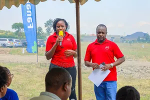 Bank And Sacco Financing Accepted ^AC