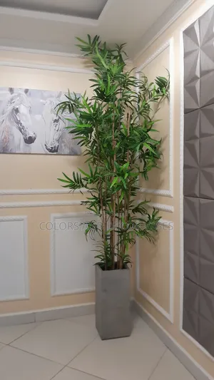 2m Long Bamboo Sticks Without Vase