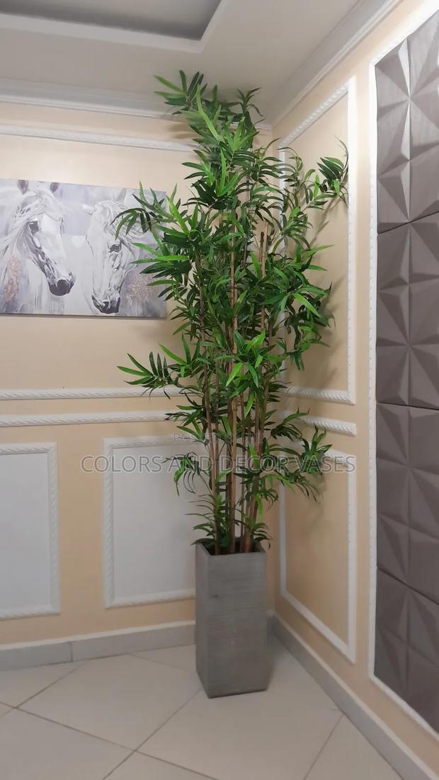 2m Long Bamboo Sticks Without Vase - main view