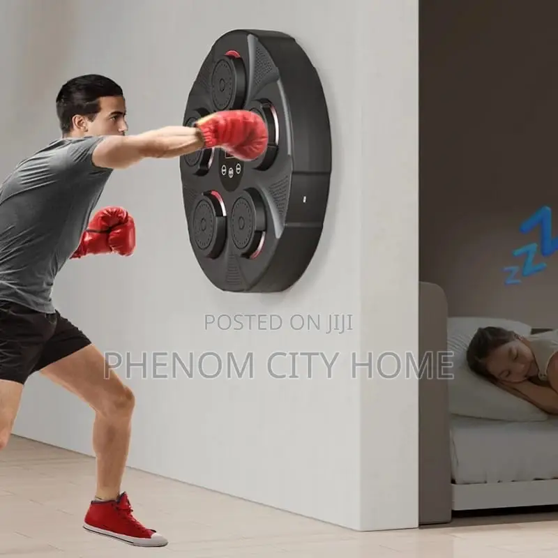 Wall Mounted Punch Boxing Trainer
