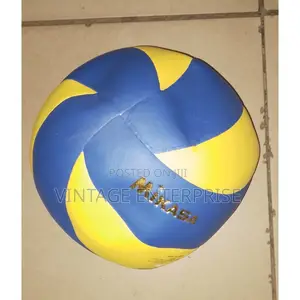 Mikasa Volleyball"°°
