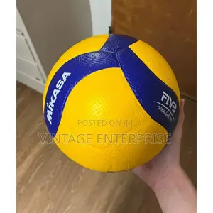Volleyball (Mikasa )'^°°