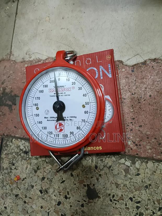 Hannson 200kg Hanging Scale - main view