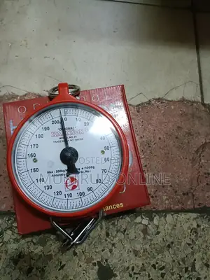 Hannson Hanging Scale
