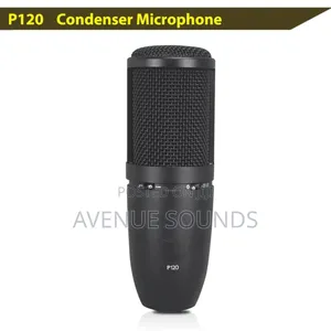 AKG P120 Recording Condenser Microphone