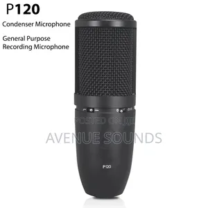 AKG P120 Recording Condenser Microphone
