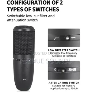 AKG P120 Recording Condenser Microphone