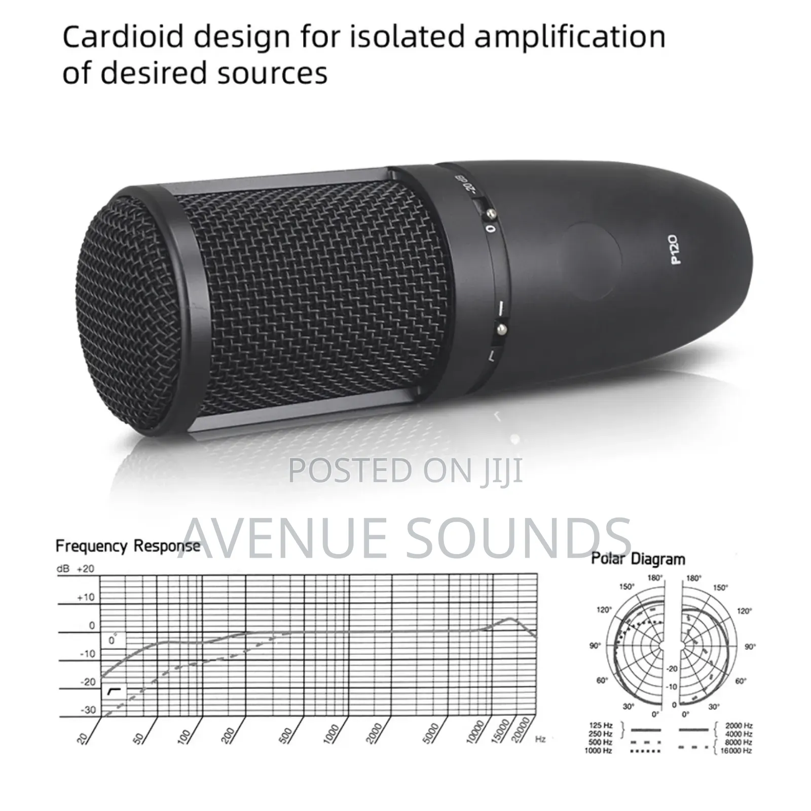 AKG P120 Recording Condenser Microphone