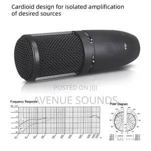 AKG P120 Recording Condenser Microphone