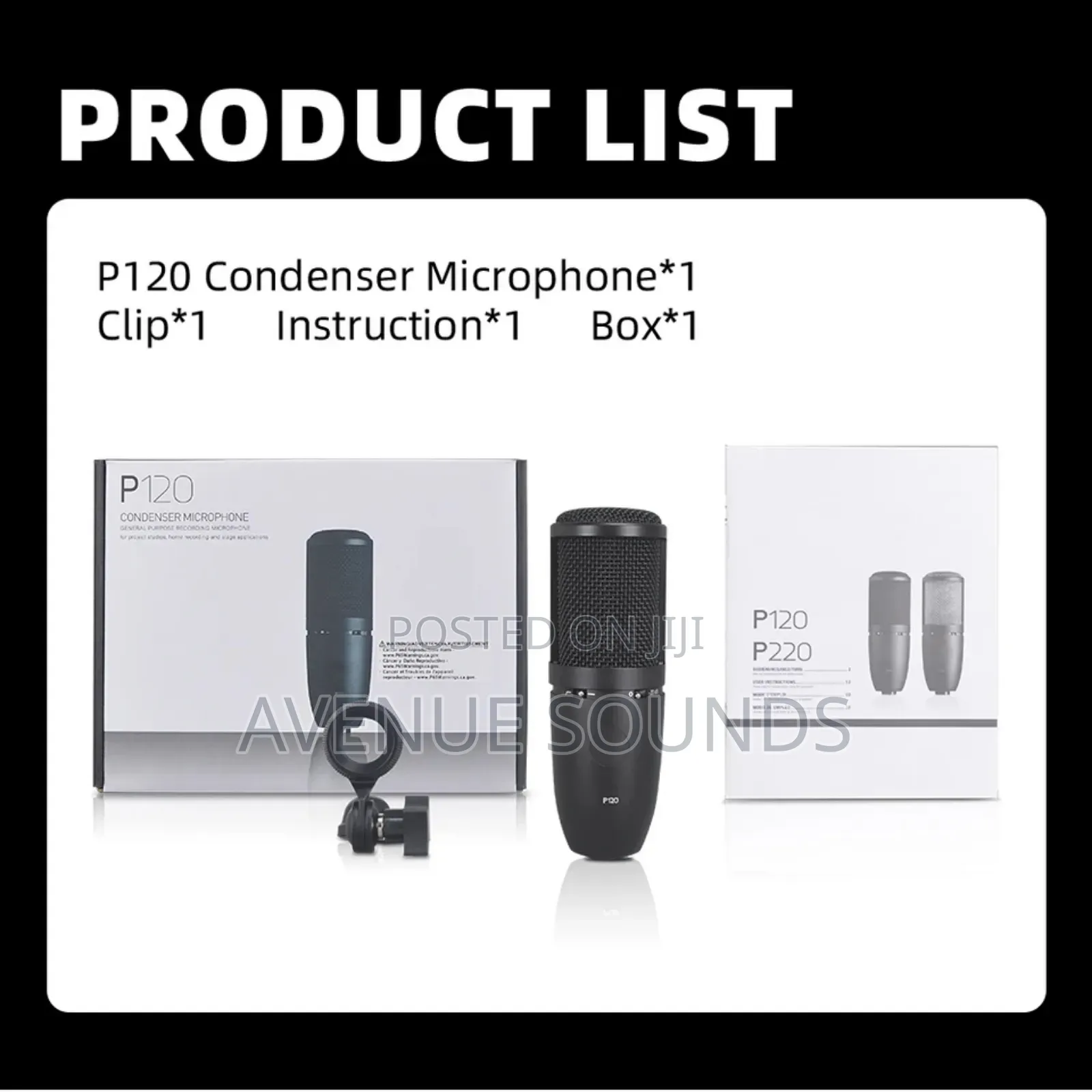 AKG P120 Recording Condenser Microphone