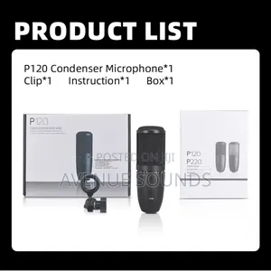 AKG P120 Recording Condenser Microphone