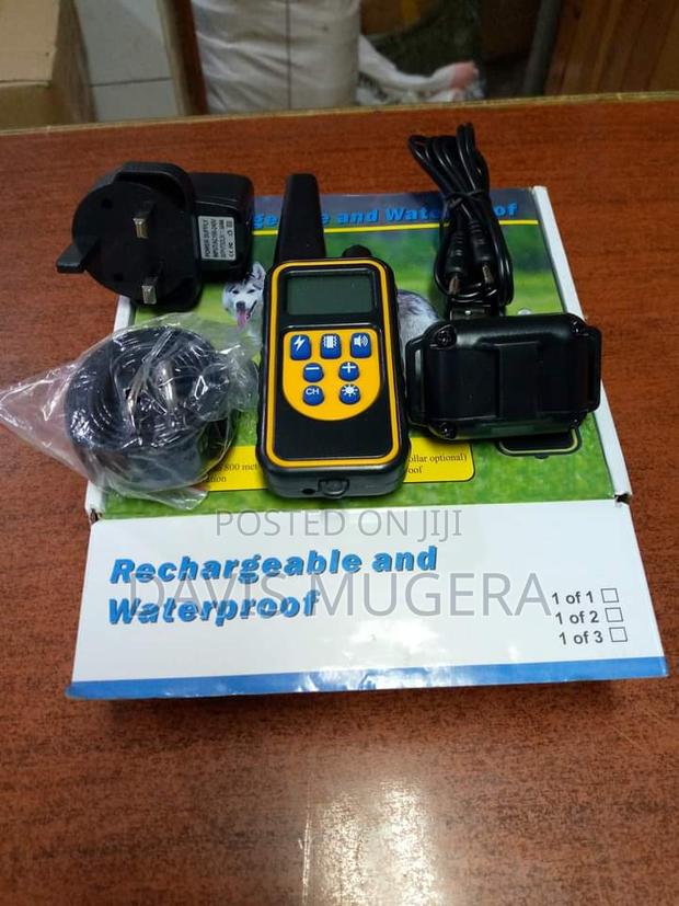 Remote Dog Training Collar - Single - main view