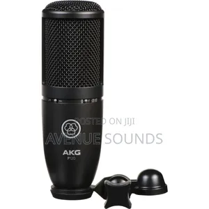 Professional AKG P120 Condenser Microphone