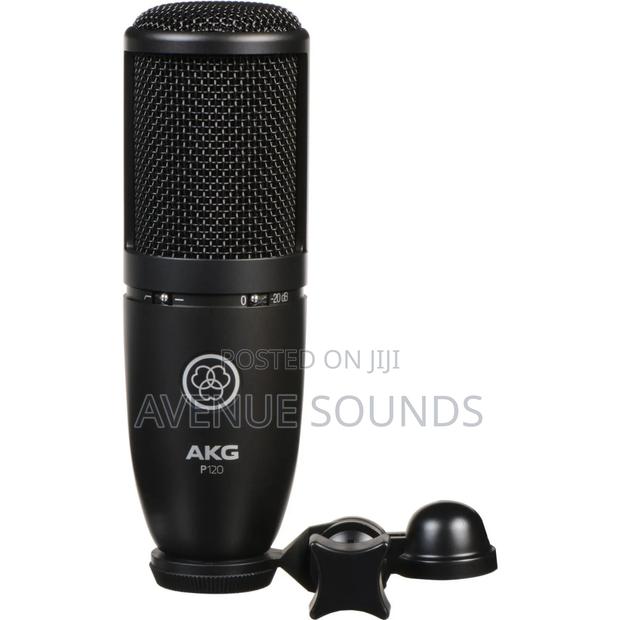 Professional AKG P120 Condenser Microphone - thumbnail 2