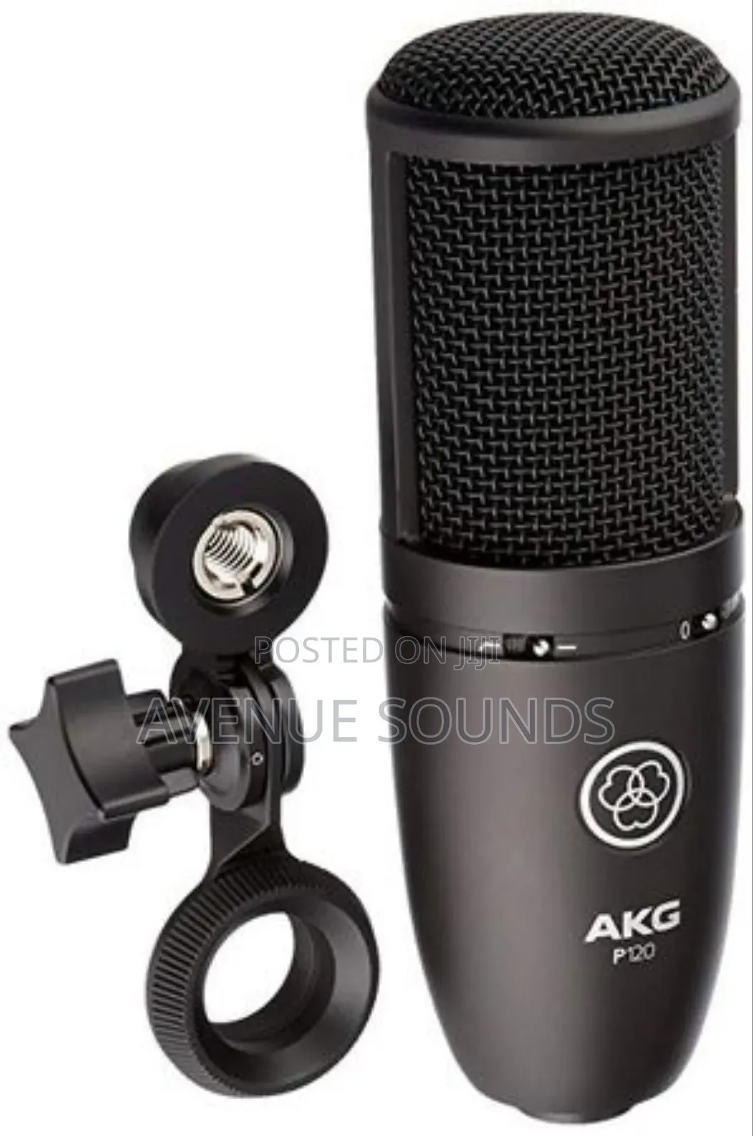 Professional AKG P120 Condenser Microphone