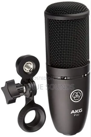 Professional AKG P120 Condenser Microphone