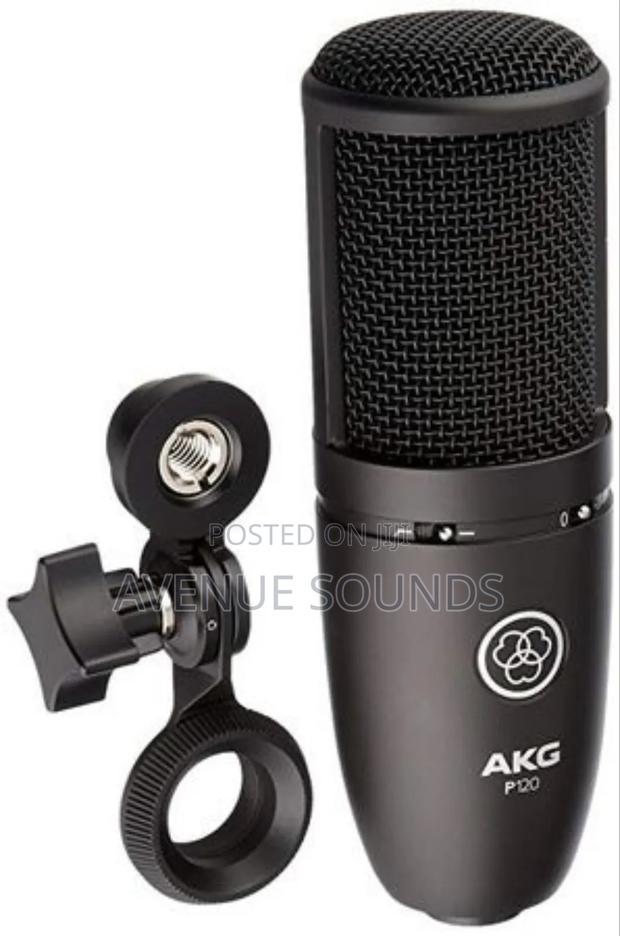 Professional AKG P120 Condenser Microphone - thumbnail 3