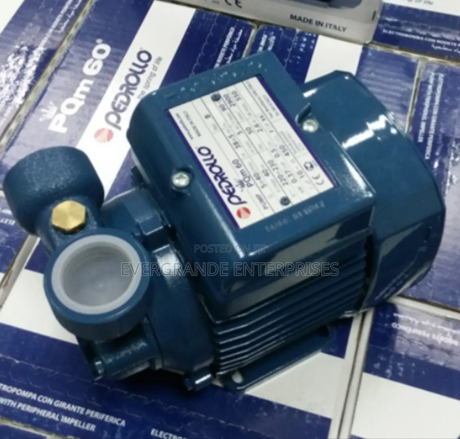 Pedrolĺo Water Pump, Water Pump