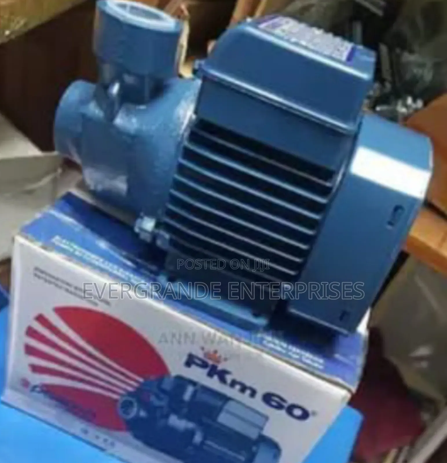 Pedrollo Water Pump, Pedrollo Water Pump Pmk60 0.5 Ph
