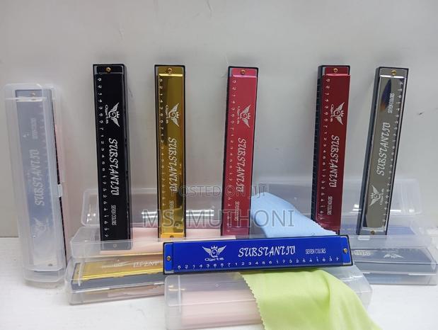 Qualifity 24 Holes Harmonica - main view