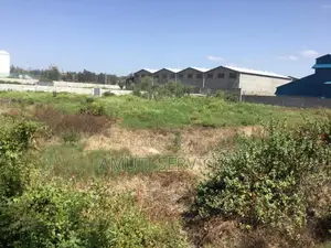 Athiriver: 1.3 Acres for Sale