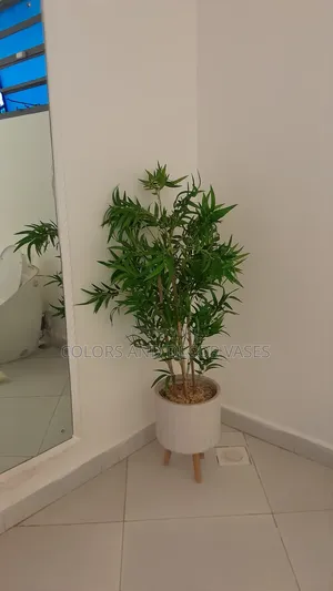 Bamboo Sticks Available on Offer