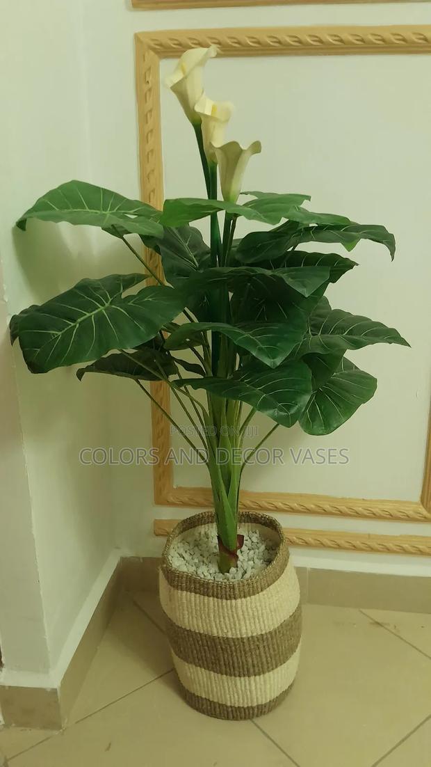 Flowered Plant With Basket KSH - main view